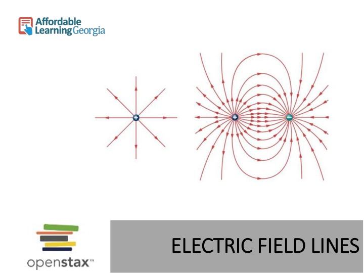 electric field lines electric field lines