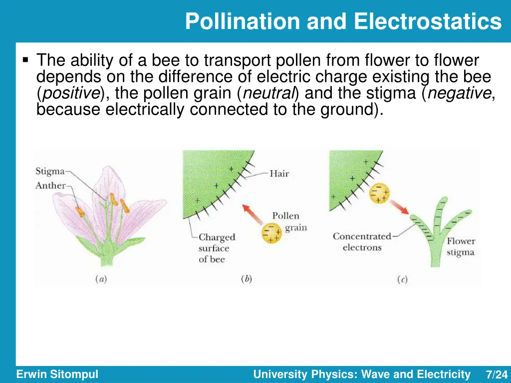 pollination and electrostatics