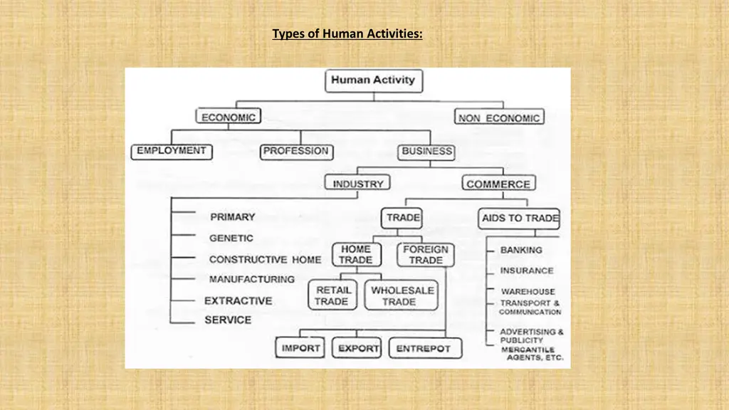 types of human activities