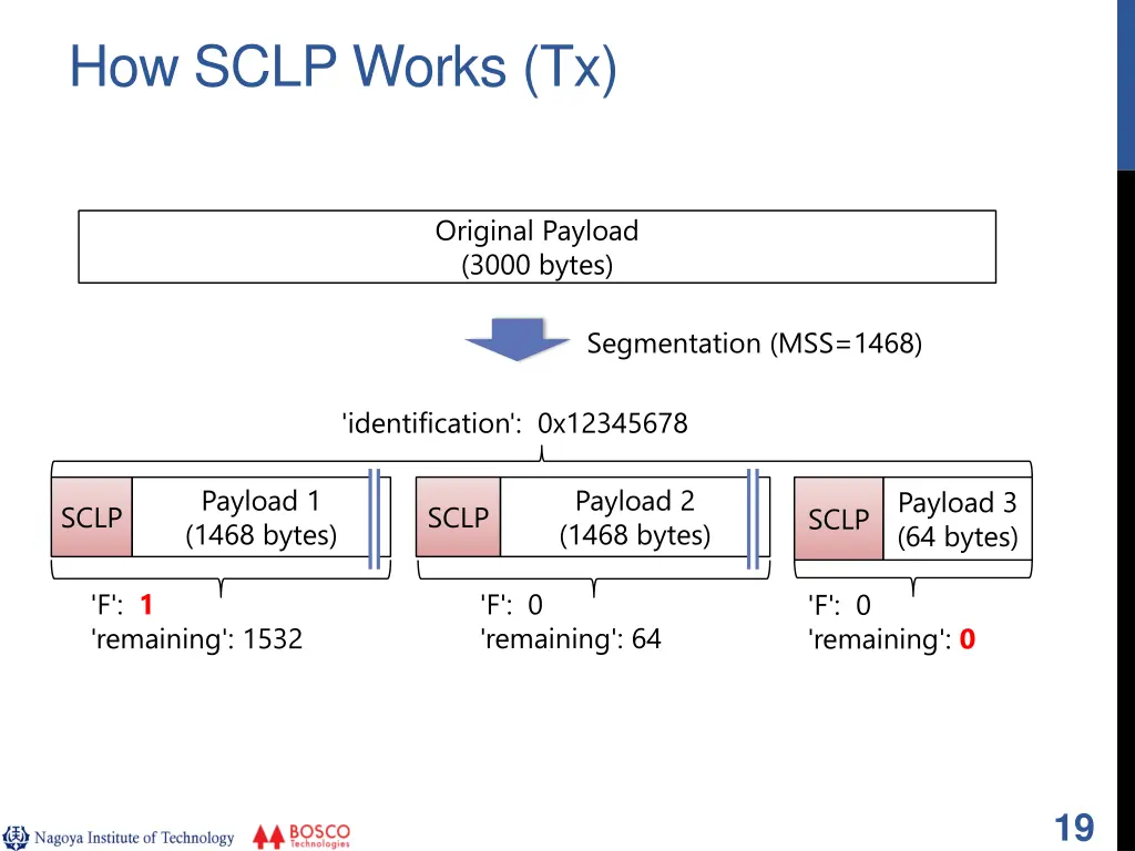how sclp works tx