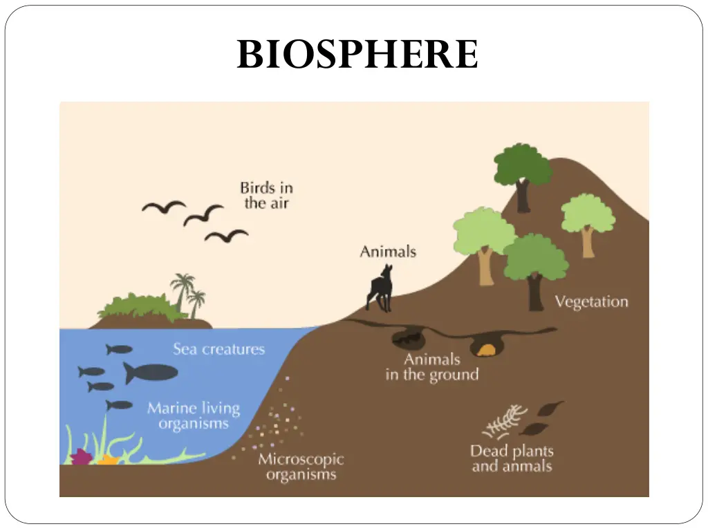 biosphere
