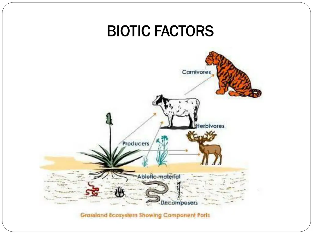 biotic factors biotic factors