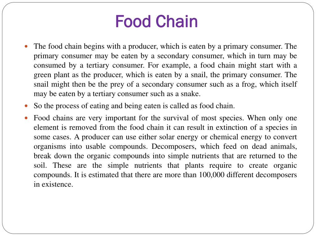 food chain food chain