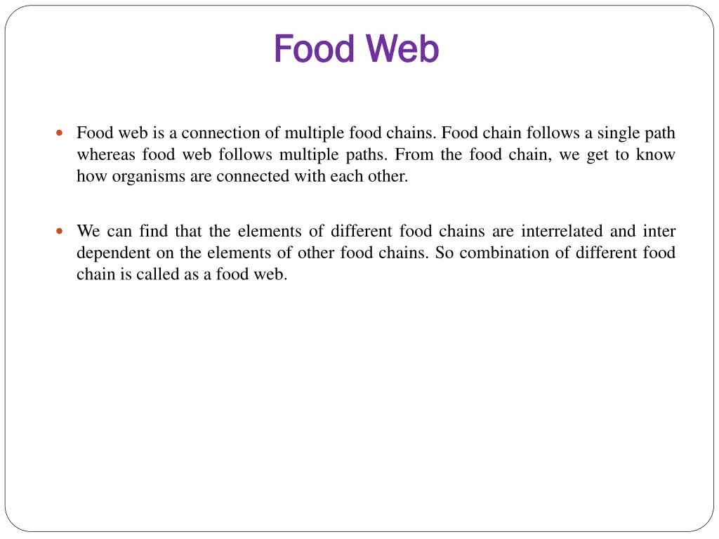food web food web
