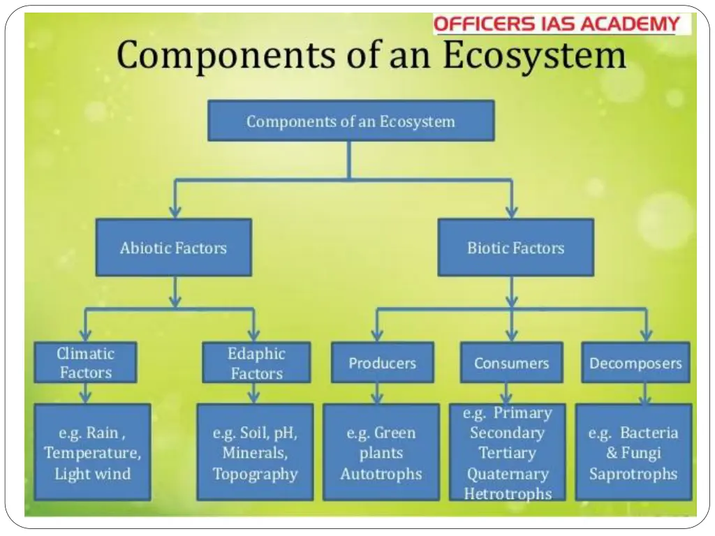 slide25