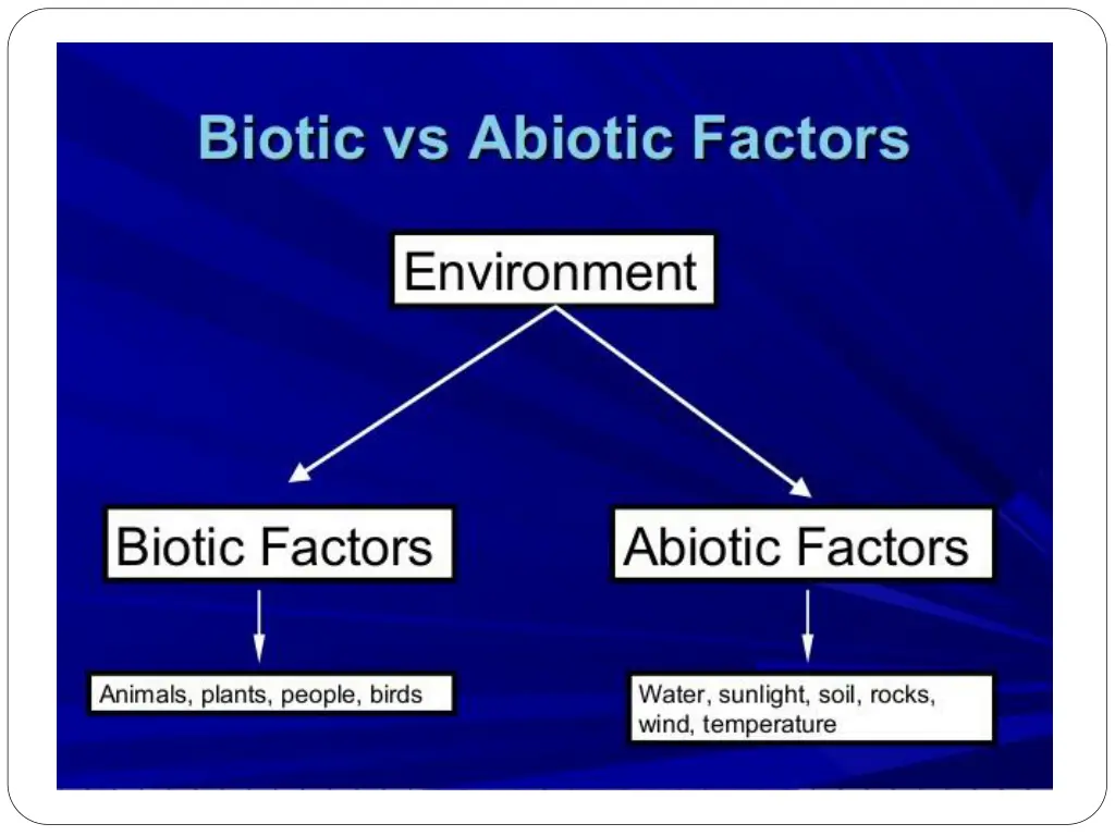 slide26