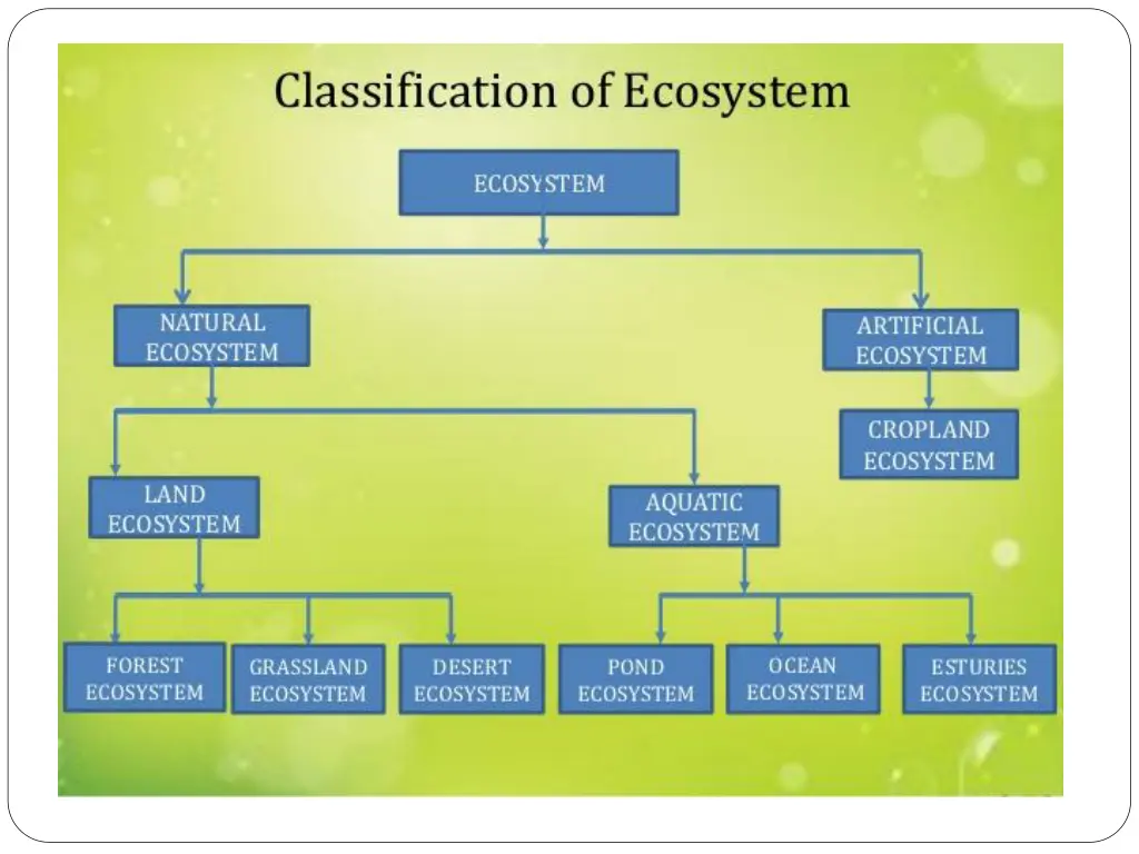 slide27