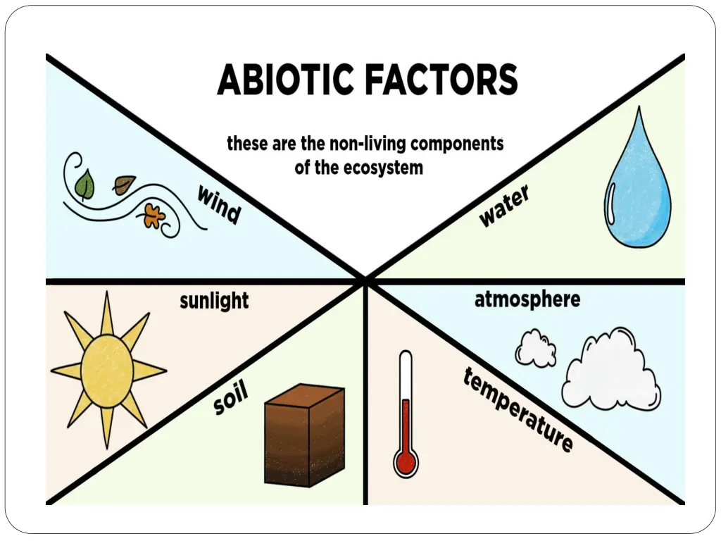slide8