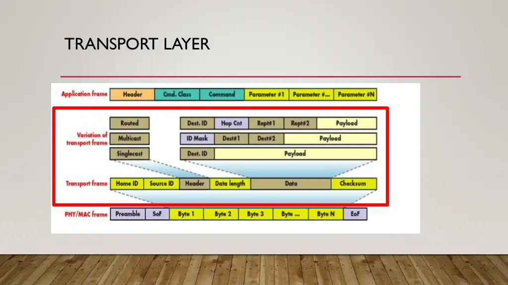 transport layer 1