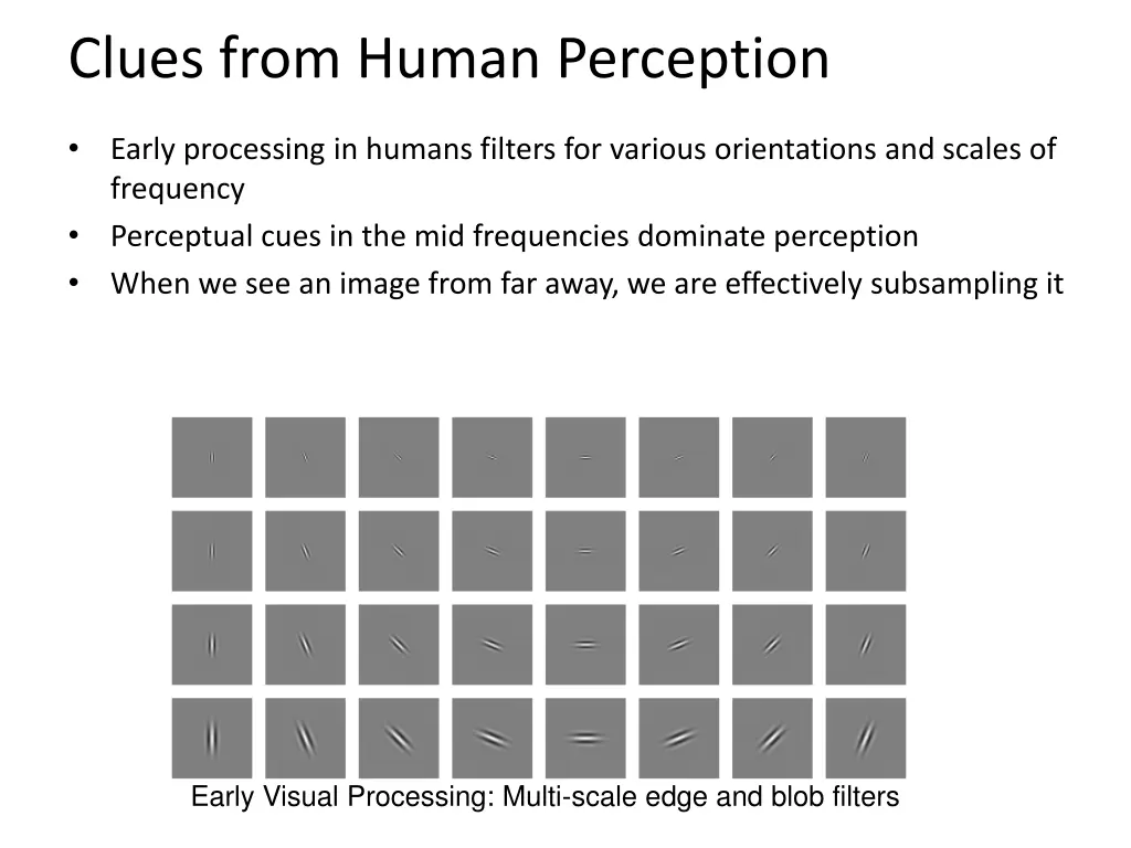 clues from human perception