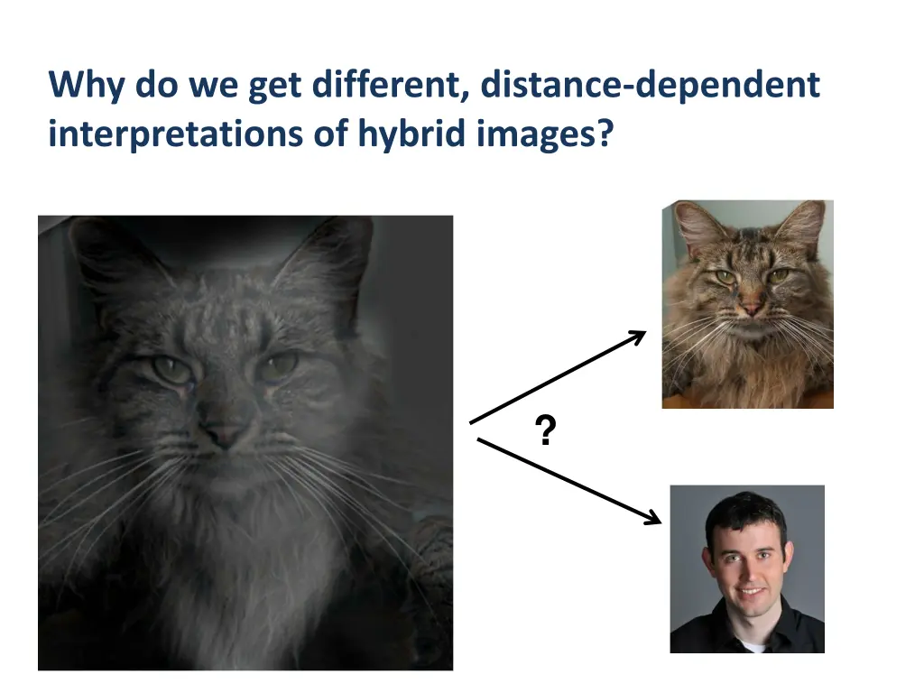 why do we get different distance dependent