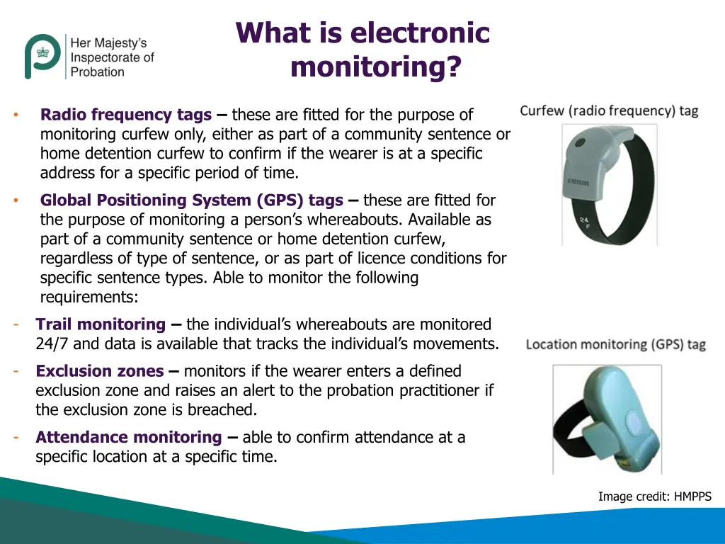 what is electronic monitoring