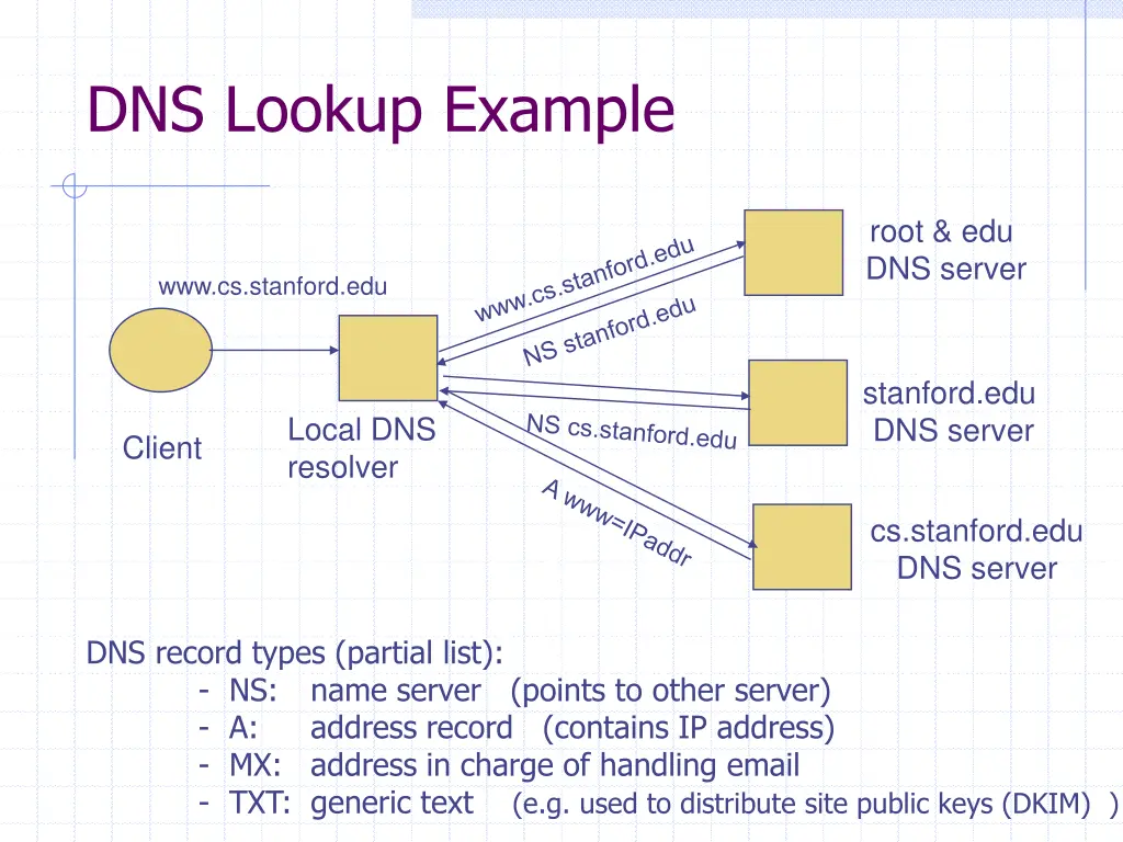 dns lookup example