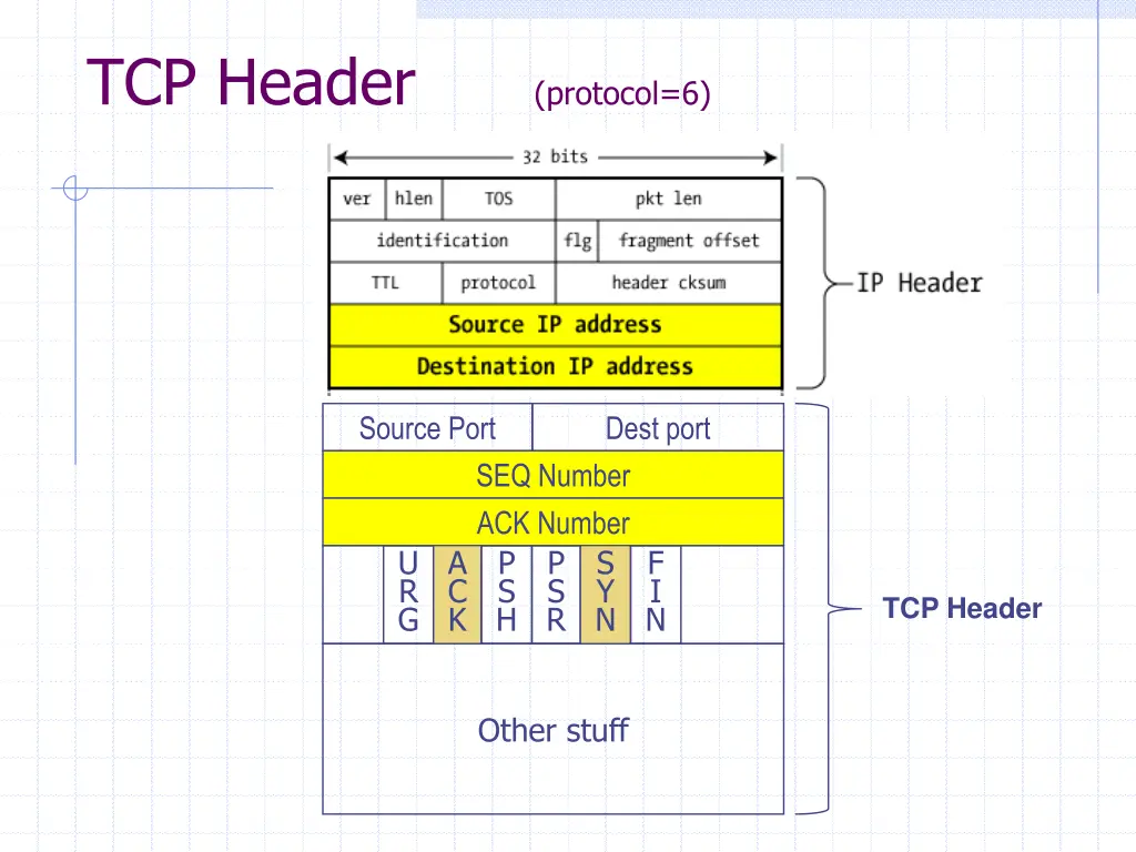 tcp header protocol 6