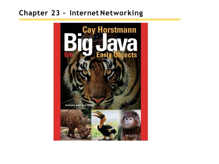 chapter 23 internet networking