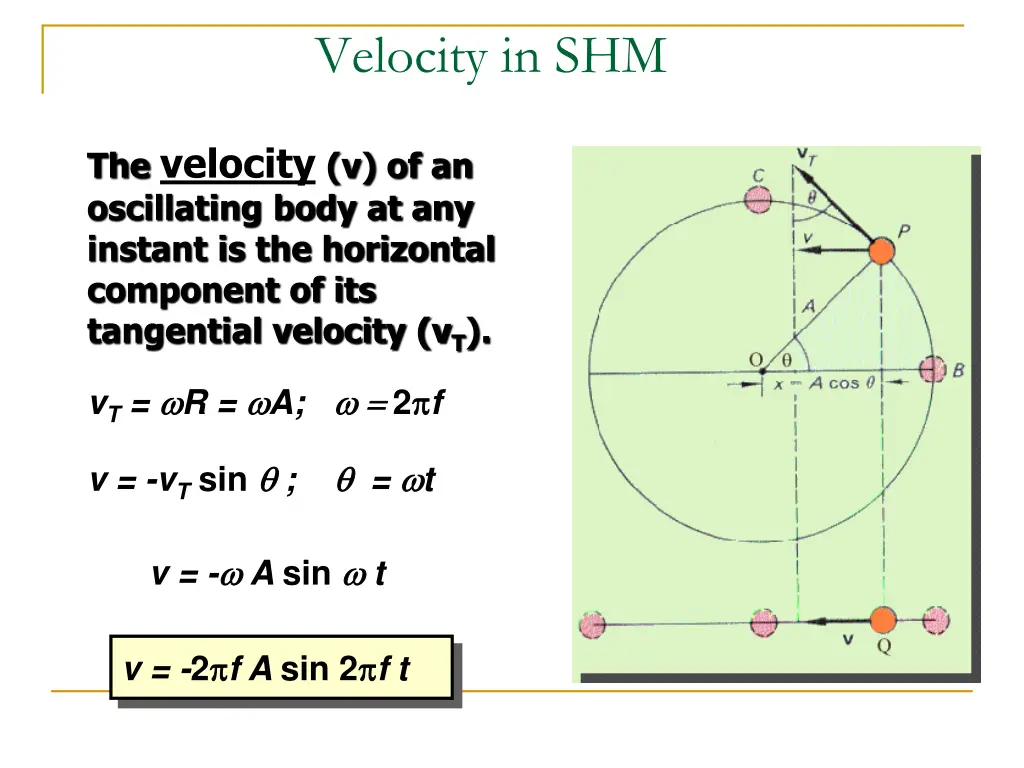 velocity in shm