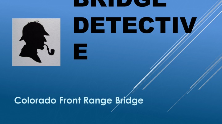 bridge detectiv e