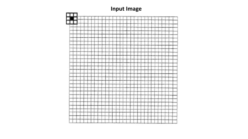 input image 1