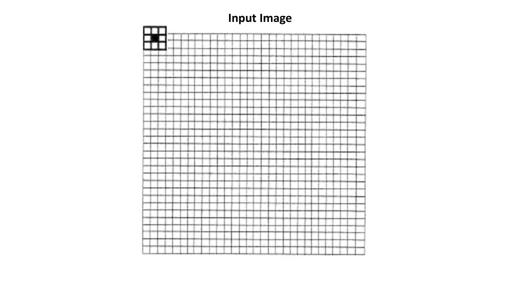 input image 2