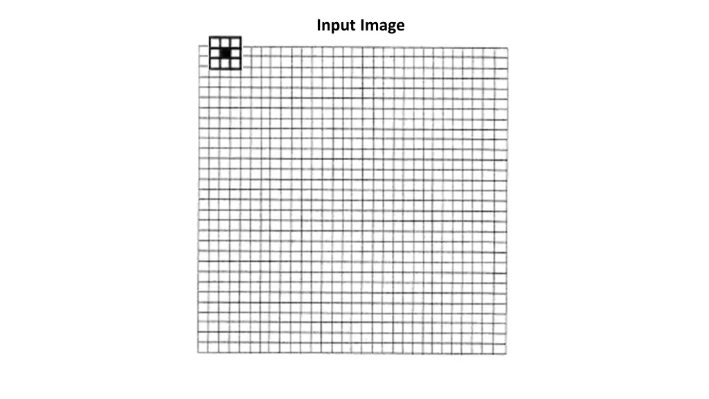 input image 3