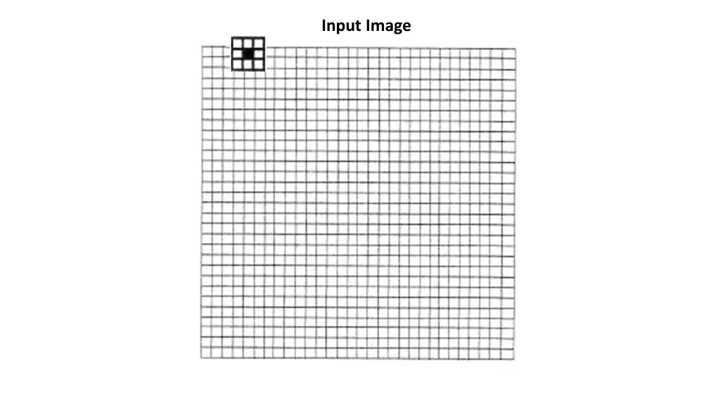 input image 5