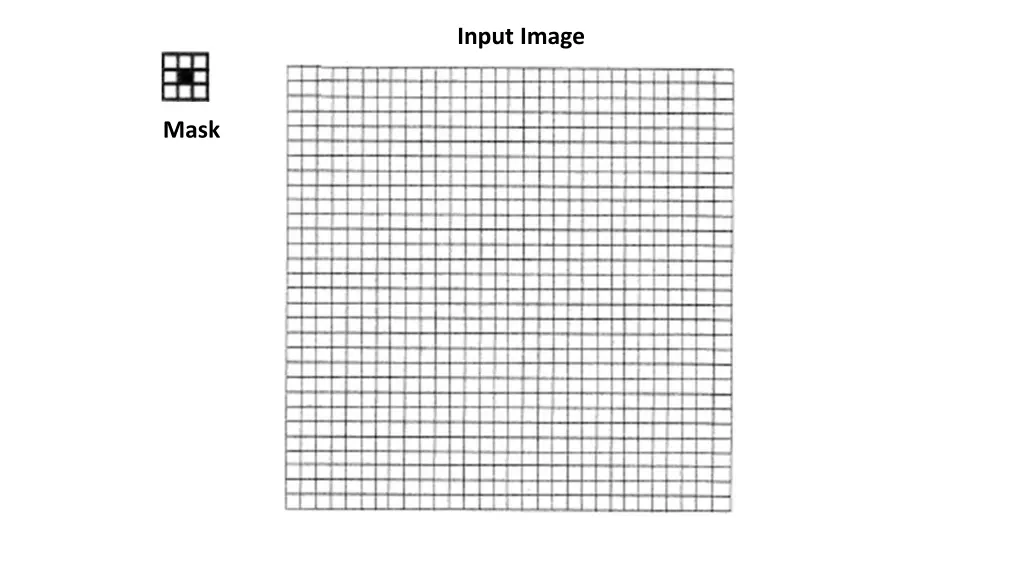 input image