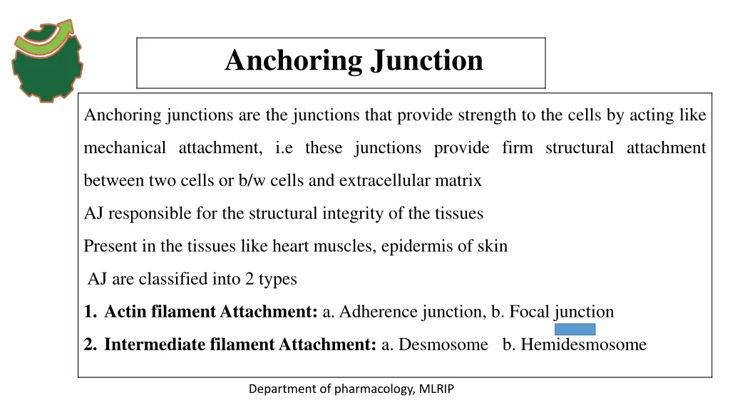 anchoring junction