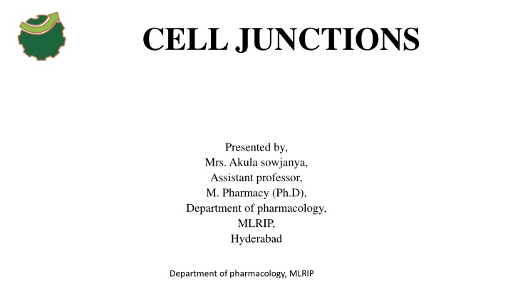 cell junctions