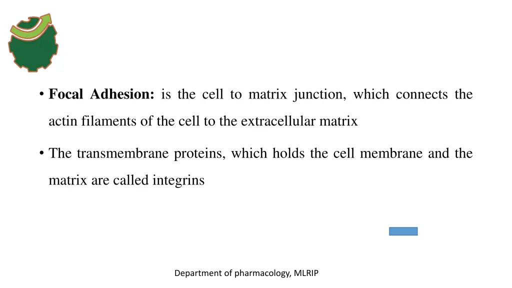 focal adhesion is the cell to matrix junction