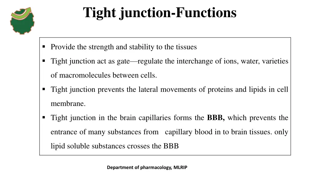 tight junction functions