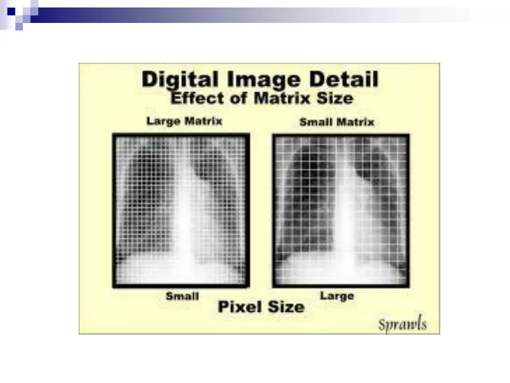 slide24