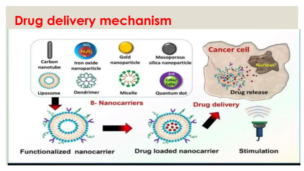 drug delivery mechanism