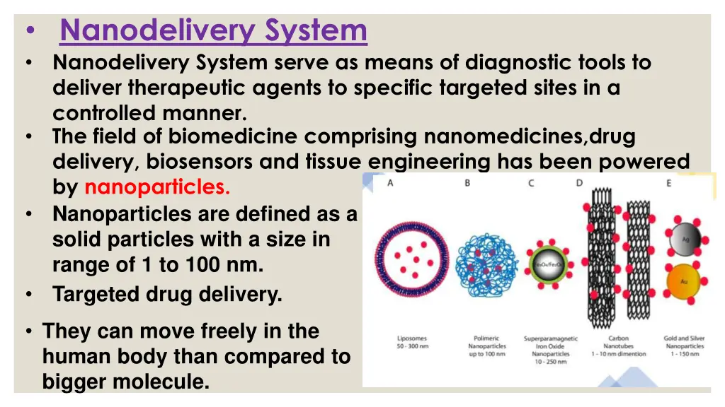 nanodelivery system nanodelivery system serve