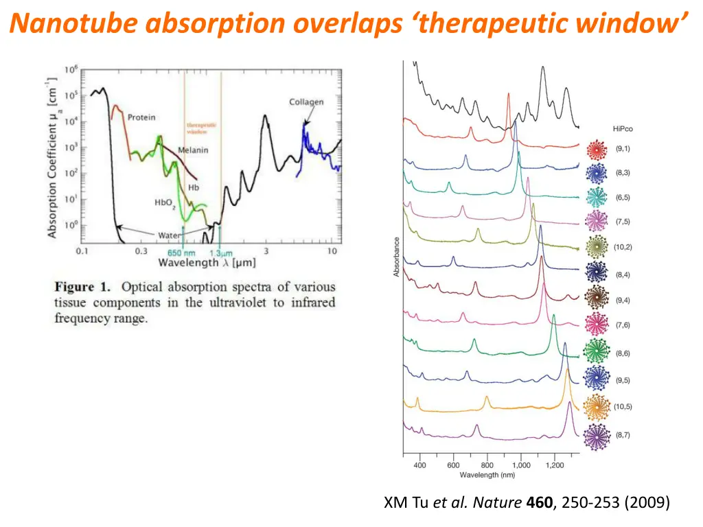 nanotube absorption overlaps therapeutic window