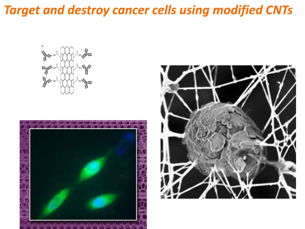 target and destroy cancer cells using modified