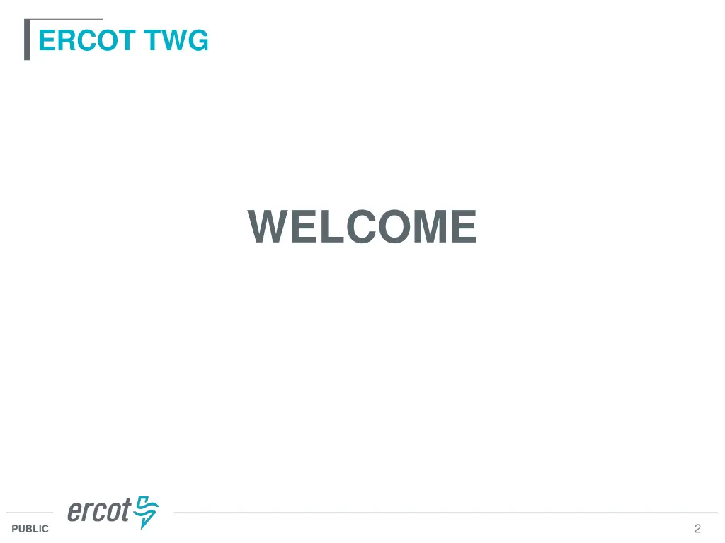 ercot twg