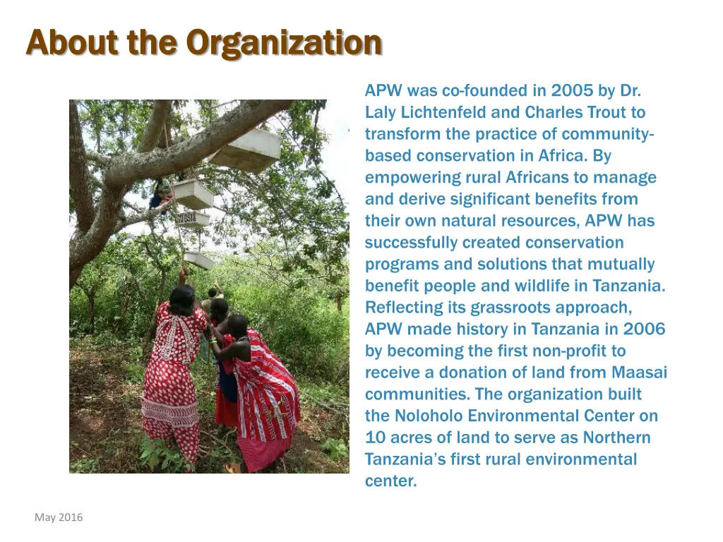 about the organization about the organization