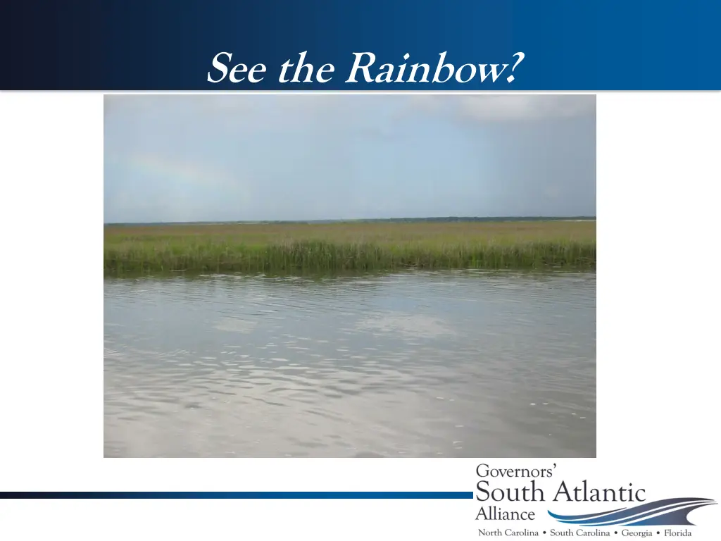 see the rainbow