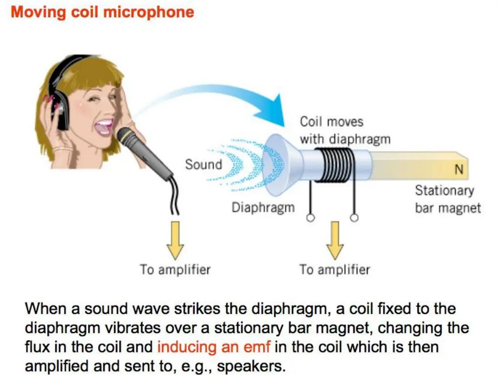 slide7