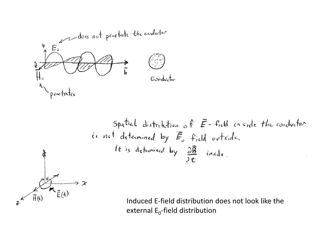 induced e field distribution does not look like