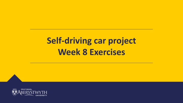 self driving car project week 8 exercises