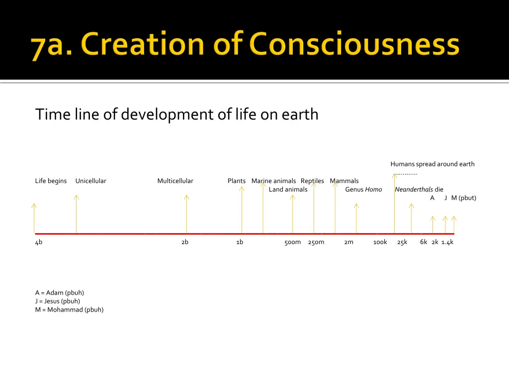 time line of development of life on earth