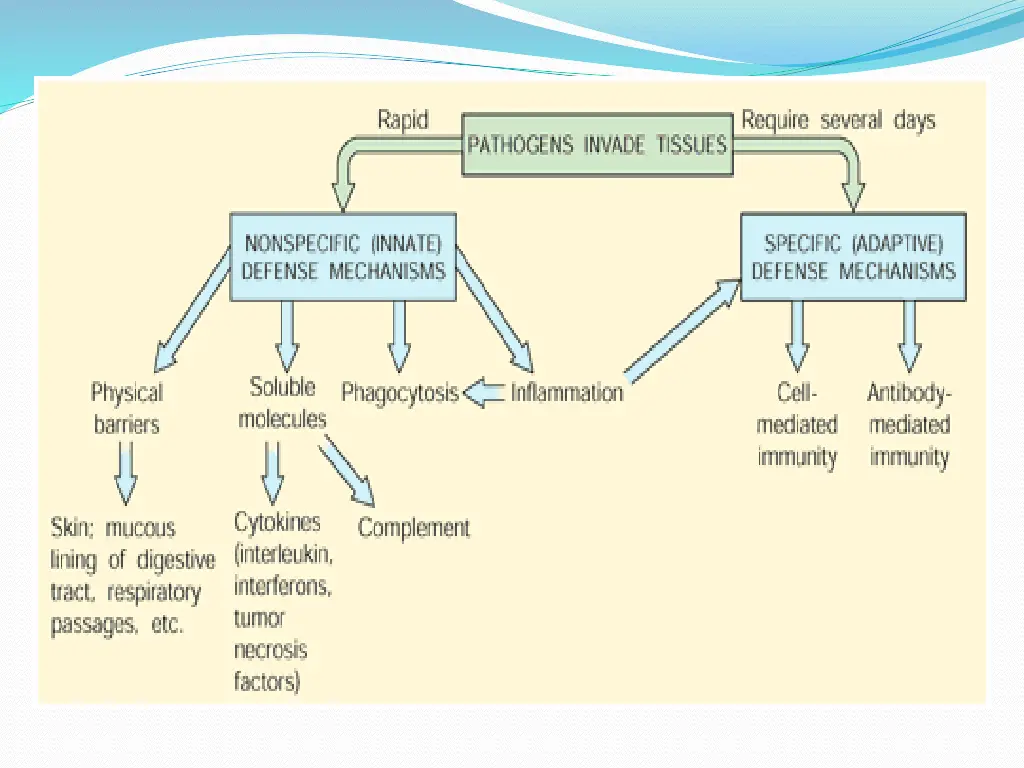 slide2