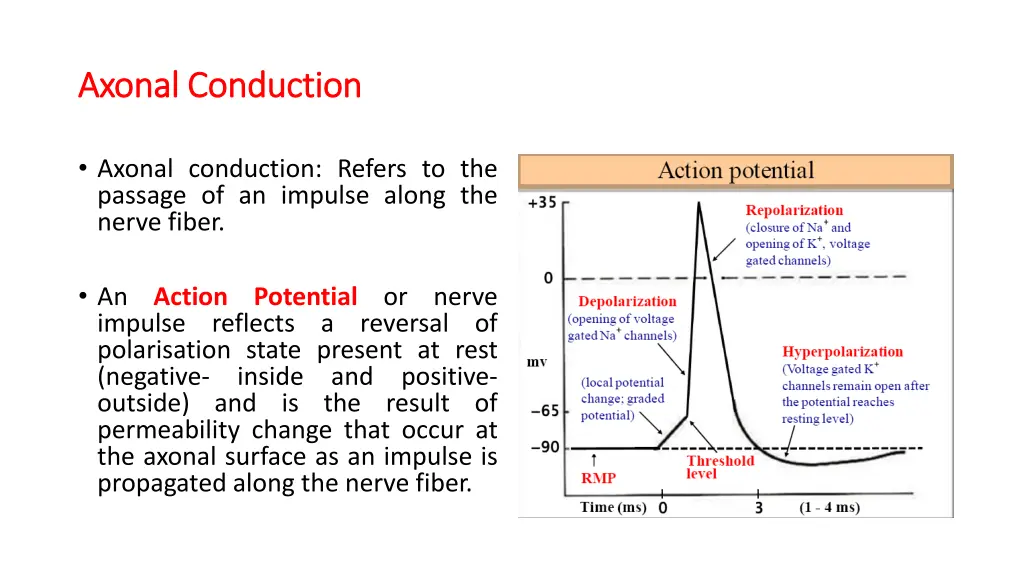 axonal conduction axonal conduction