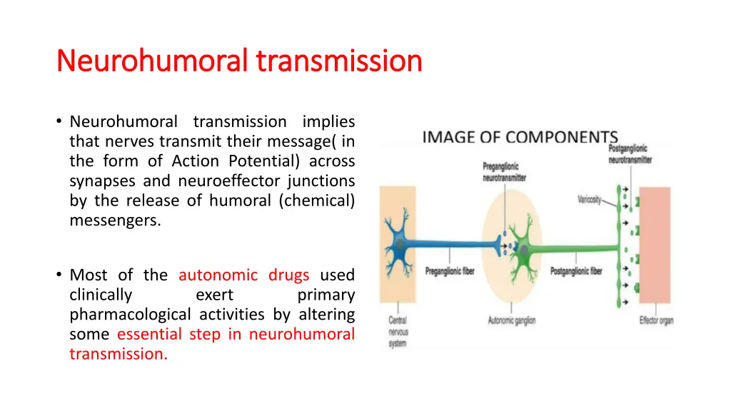 neurohumoral neurohumoral transmission
