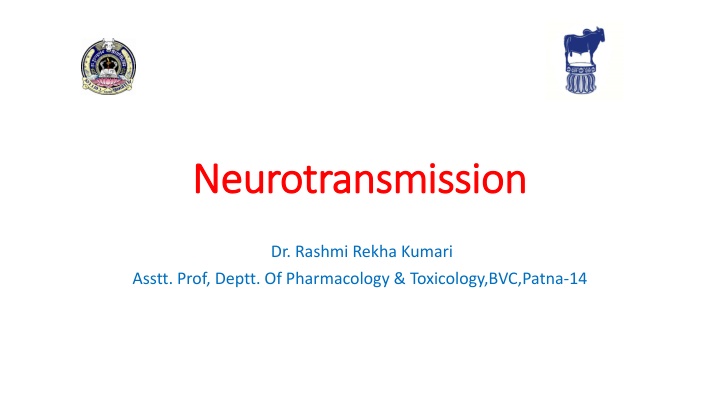 neurotransmission neurotransmission