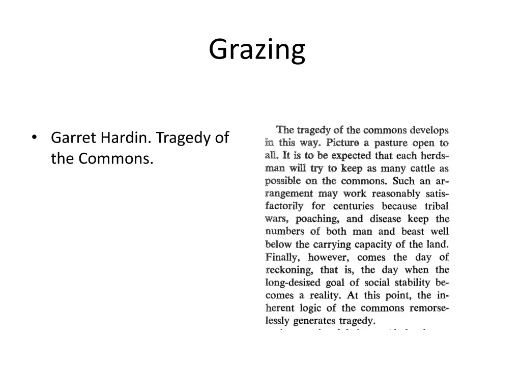 grazing