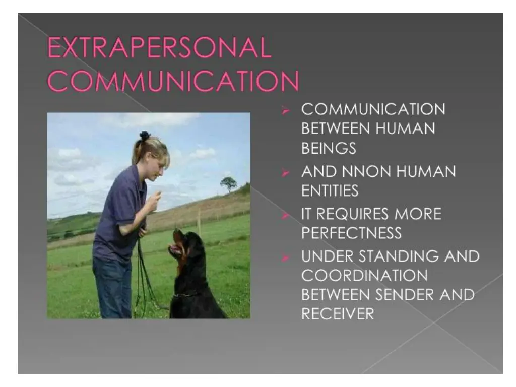 slide18