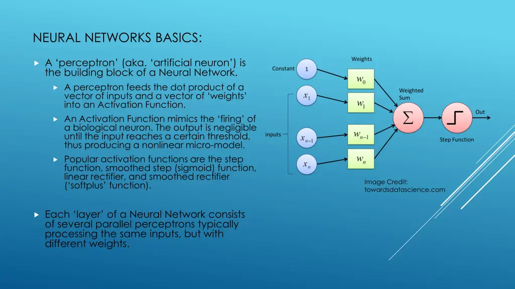 neural networks basics