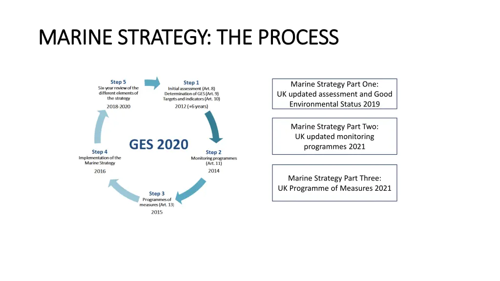 marine strategy the process marine strategy